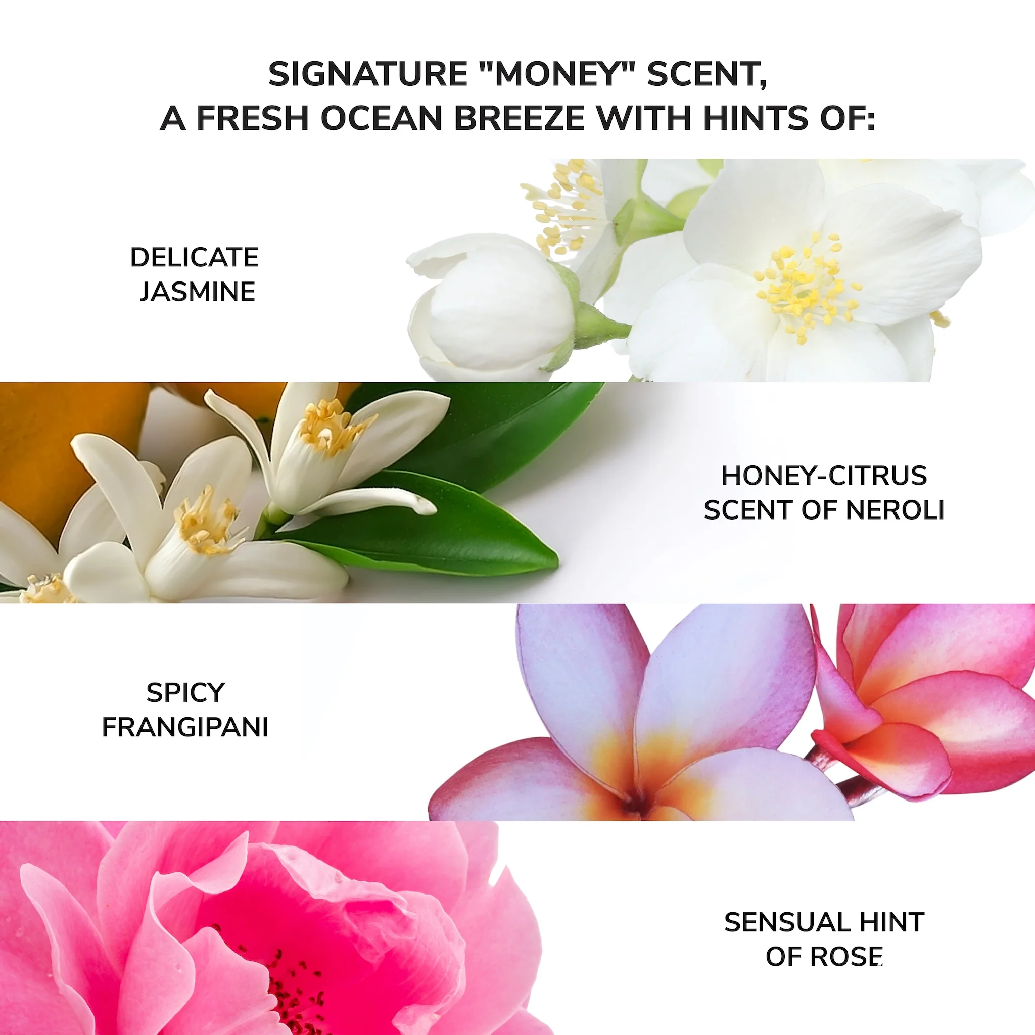 Money Laundering Glossing Conditioner - Image 7